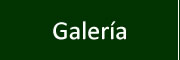 Catálogo de Productos